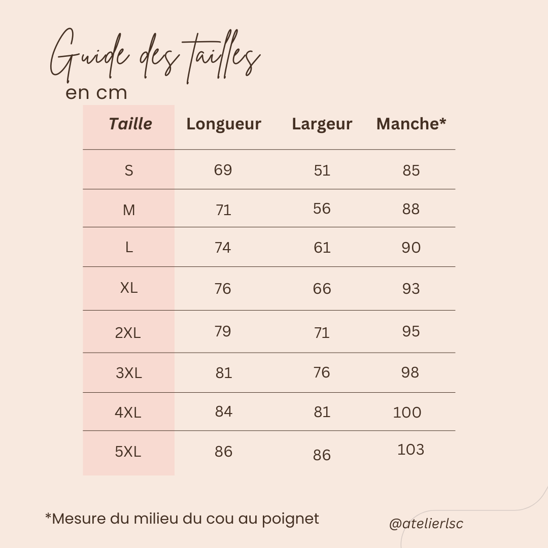 Pull souvenir Marron