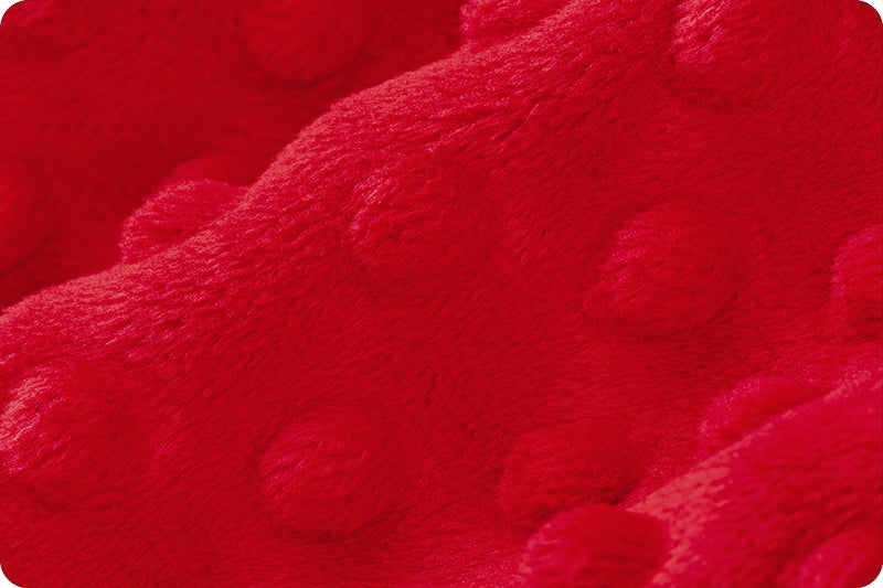 Minky à pois Rouge