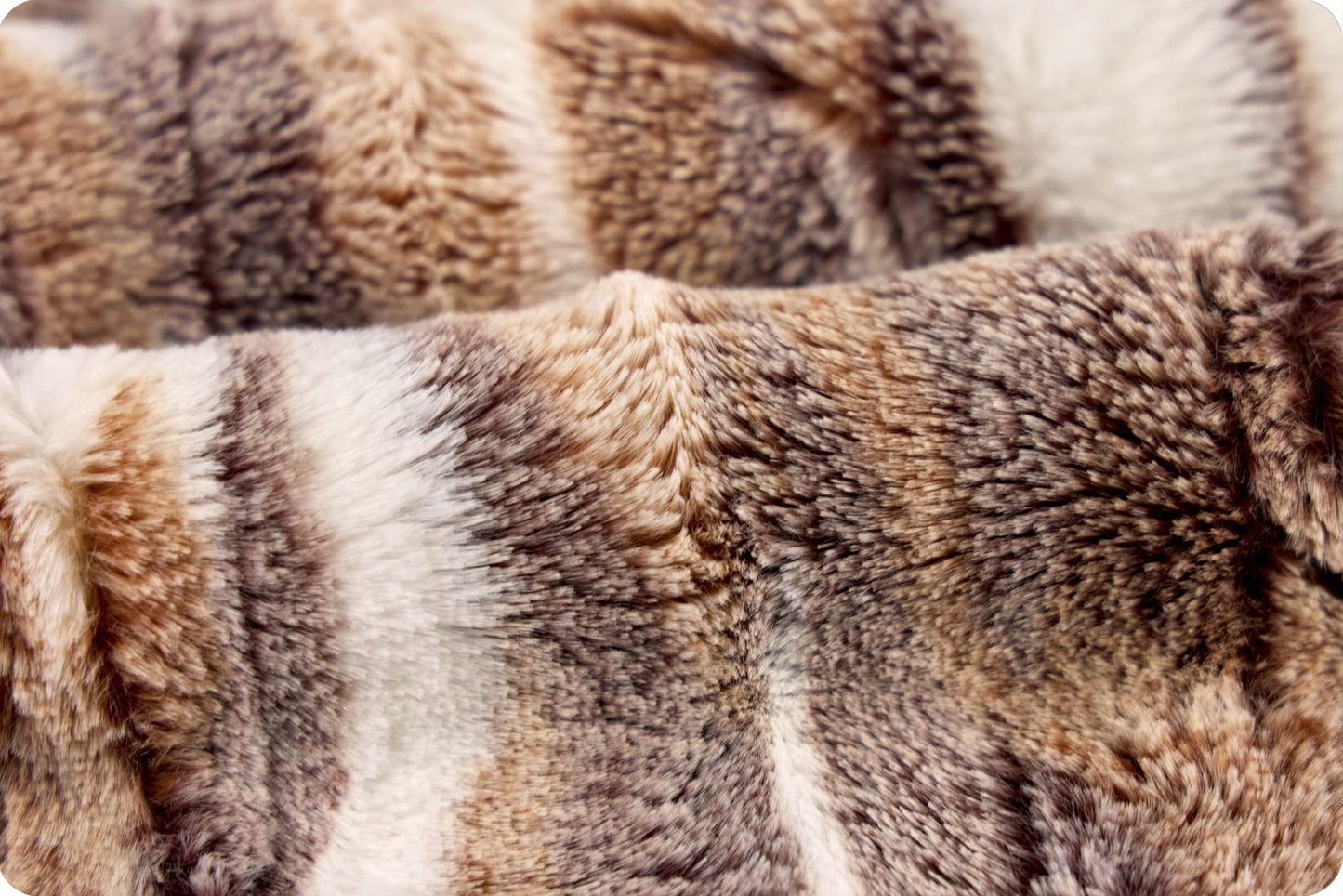 Luxe Cuddle® Frosted Himalayan Automne