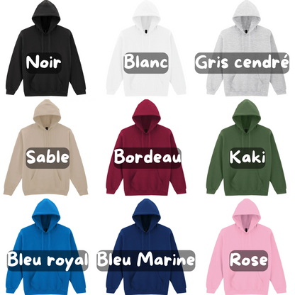 Pull à capuche souvenir Patchwork complet