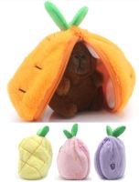 Porte-clef capybara dans fruit 12cm